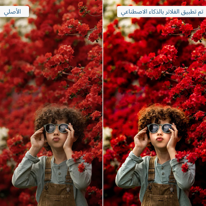 مجموعة أدوات الإصلاح السريع بالذكاء الاصطناعي للتنقيح التكيفي في لايت روم – إعدادات مسبقة للكمبيوتر والهاتف